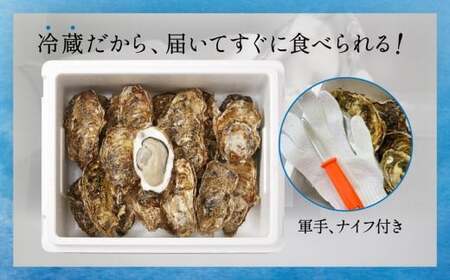 牡蠣 先行予約 殻付き 牡蠣 8個 【 三陸産 旬 産地直送 おためし 】