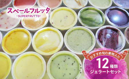 ジェラートセット 旬の果物入り 食べ比べ ジェラートセット【12種類】