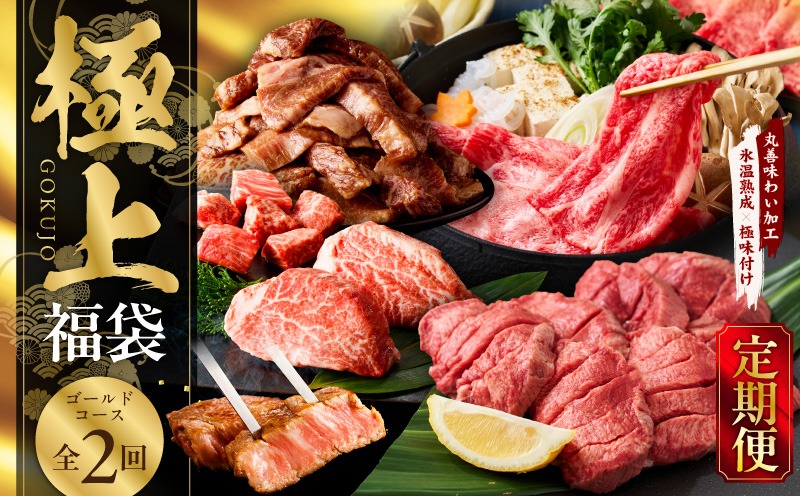 mrzZ029 極上福袋 定期便 ゴールドコース 全2回【5種 食べ比べ 牛肉 ステーキ 牛タン 焼肉 しゃぶしゃぶ すき焼き 氷温熟成×極味付け 毎月配送コース】
