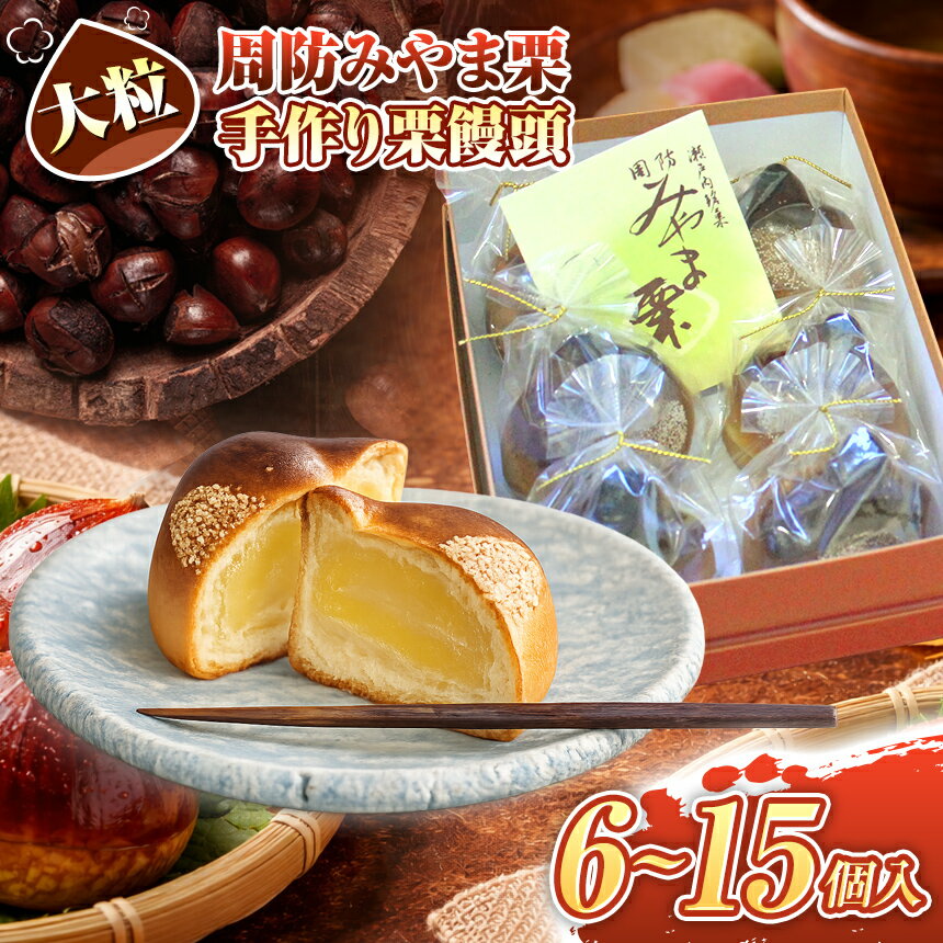 【ふるさと納税】 周防みやま栗 （ 大粒 ） 6 ～ 15個入り ｜ 和菓子 ギフト 御礼 お礼 お土産 お歳暮 お中元 御中元 贈答用 人気 リピーター 美味しい 山口県 平生町