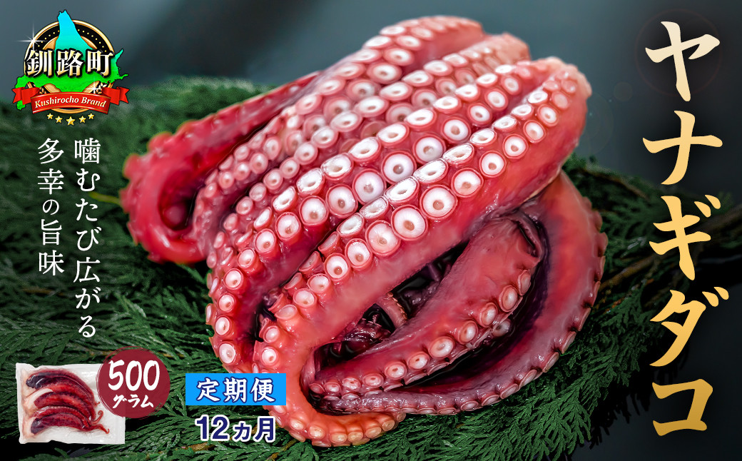 
【定期便12ヶ月】ヤナギダコ500g【産地直送】プリプリ食感！釧路町昆布森産 ヤナギダコ｜噛むたびに広がる多幸の旨味 お刺身 鍋 煮物に最適 栄養満点 贈答用 にも最適 漁師直送 鮮度抜群 タコ 蛸 北海道 冷凍 釧路町 釧路超 特産品
