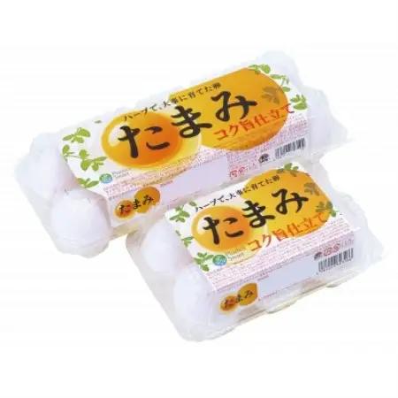 いすみポートリー産たまご「たまみ」6個入×10パック+割れ保障2パック【配送不可地域：離島】【1729054】