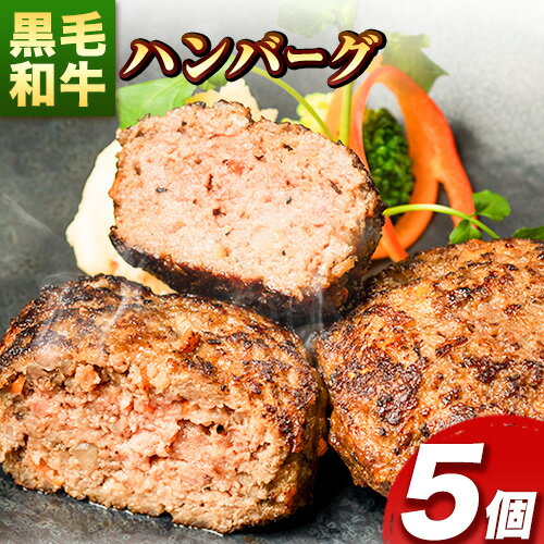 【ふるさと納税】肉 黒毛和牛 ハンバーグ 天空和牛ハンバーグ 約500g (約100g×5個)《30日以内に出荷予定(土日祝除く)》有限会社松牛 和歌山県 紀の川市 熊野牛 紀の川天空和牛 惣菜 おかず