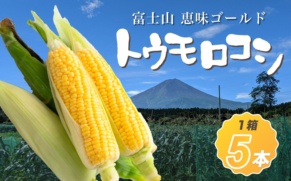 
            【先行予約】富士山 恵味ゴールド トウモロコシ　5本
          