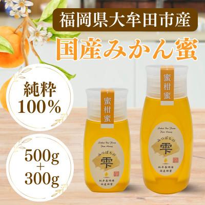 ふるさと納税 大牟田市 みつばちの雫　国産みかん蜂蜜　500g+300g