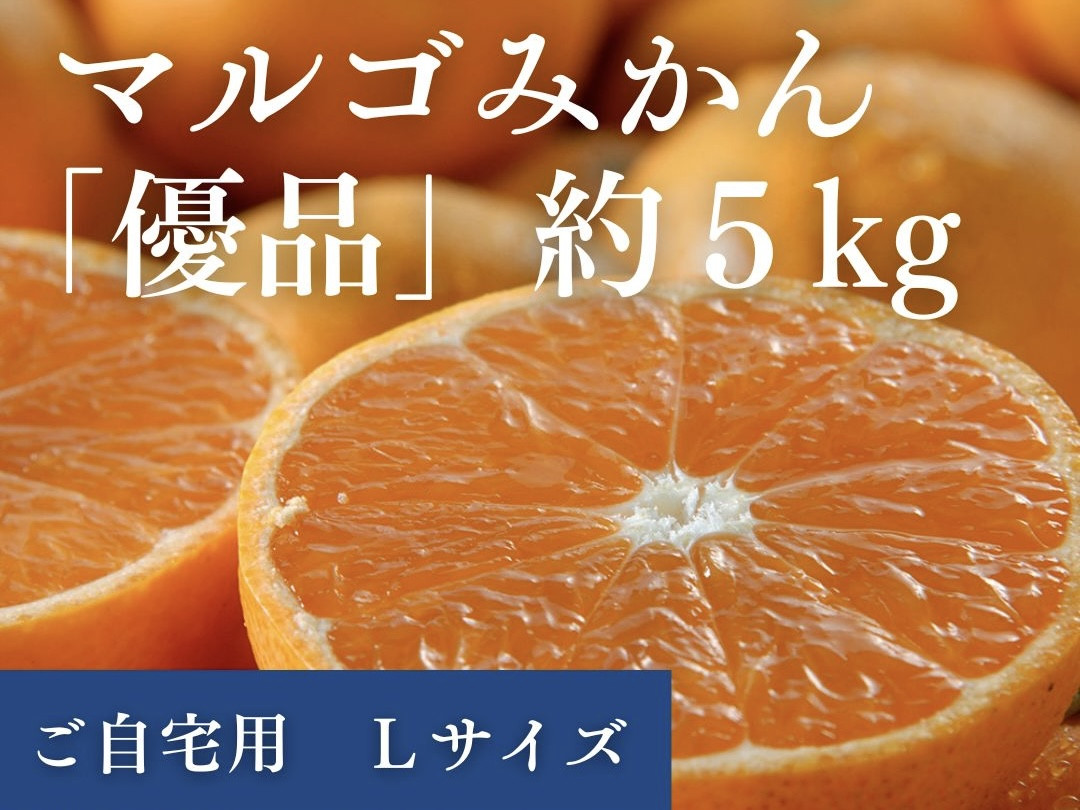 
マルゴみかん（温州みかん） 優品 約5ｋｇ （Lサイズ） JA伊勢 ／ 家庭用 送料無料 産地直送 フルーツ 果物 ミカン 先行予約 三重県 南伊勢町
