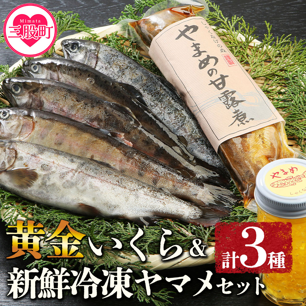 ＜黄金イクラと新鮮冷凍ヤマメセット＞(3種)黄金イクラやヤマメを詰め合わせ！【A-0202-sk】【有限会社しゃくなげの森】