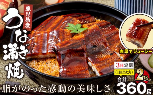 1547-3 【全3回定期便】鹿児島産うなぎ 合計360g（180g×2尾） 清らかな地下水育ち！　KN021-T01