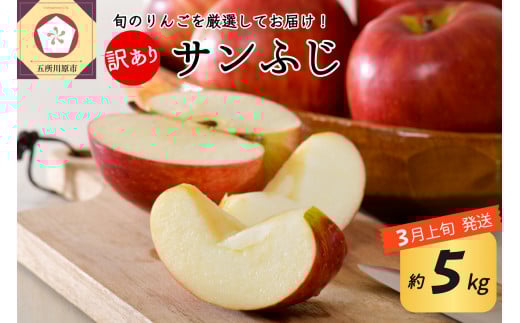 【2026年3月上旬発送】 【訳あり】 りんご 約5kg サンふじ 青森産