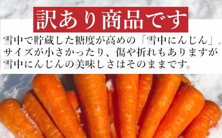 10P478 【訳あり】 雪中にんじん 約5kg K-farm にんじん 人参 野菜 新潟県産 規格外品 訳アリ ワケアリ 産地直送 新潟県 小千谷市