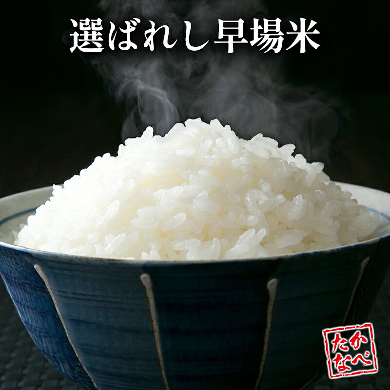 【ふるさと納税】＜選べる内容量＞ コシヒカリ 令和8年産 無洗米 国産 チャック付 小分け 食品 保存 便利 ご飯 弁当 こしひかり 簡単 数量限定 送料無料