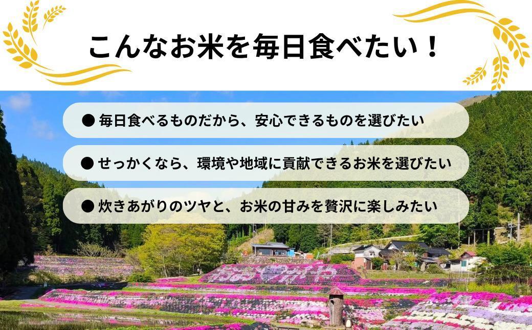 《先行予約 2026年10月発送》【3回定期便】白米 10kg 令和8年産 コシヒカリ 岡山 「おおがや 芝桜米」 G-ag-BFZA