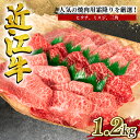 【ふるさと納税】 近江牛 特選 焼肉用 1.2kg 冷凍 黒毛和牛 牛肉 焼肉 焼き肉 ブランド 近江牛 三大和牛 贈り物 ギフト プレゼント 滋賀県 竜王 岡喜