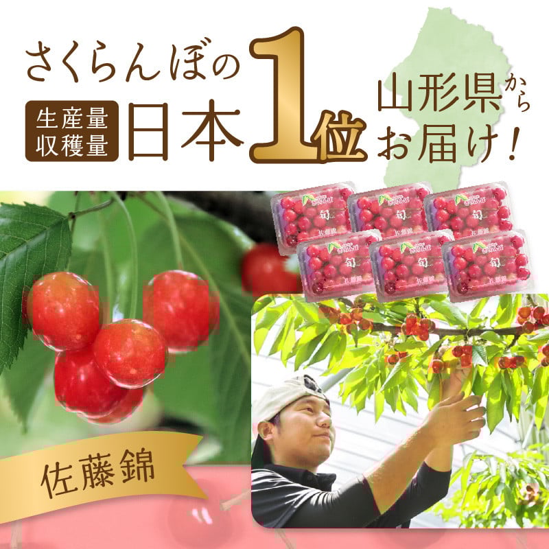 《先行受付》さくらんぼ 佐藤錦 500g 特秀品 Lサイズ 化粧箱入【2026年6月中旬頃～発送予定】【山形県産さくらんぼ】