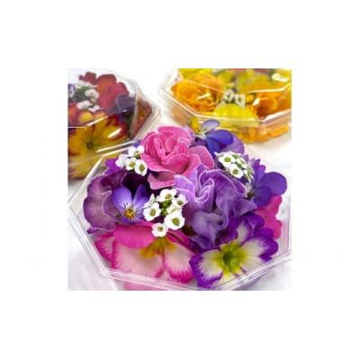 ふるさと納税 伊勢原市 農家直送!加藤さんちのエディブルフラワー 15パック (1パックあたり季節のお花15輪から30輪) |  | 02