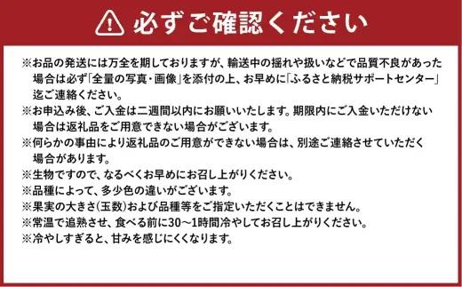 岡山白桃 エース 5～10玉 約2kg 岡山県産 【2027年7月上旬～8月下旬まで順次発送予定】 モモ もも 桃 白桃 果物 フルーツ 岡山県 倉敷市