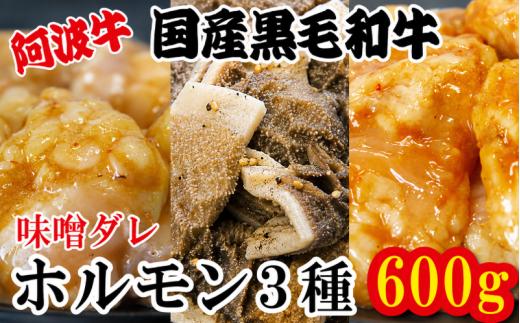 ホルモン 小腸 大腸 センマイ 3種セット 阿波牛 200g×3パック 計600g 冷凍 小分け 味噌 タレ 味噌ダレ 味噌漬け 焼肉 国産 牛 肉 黒毛和牛 和牛 BBQ バーベキュー 脂 シマチョウ ホソ もつ 牛肉 焼き やきにく ビール 酒 米 ご飯 と一緒に おつまみ おすすめ 徳島県 小松島市