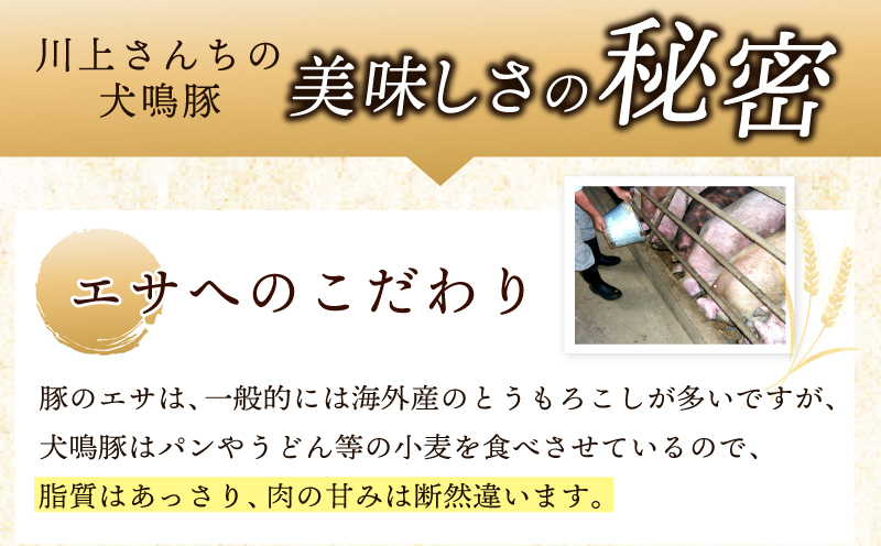 【泉佐野ブランド豚】犬鳴豚餃子 75個／手作りプレミアムハンバーグ（10個入り） 全2回【国産 豚肉 ぶたにく 定期便 食べ比べ 犬鳴ポーク 焼くだけ 人気 総菜 冷凍】 099Z558
