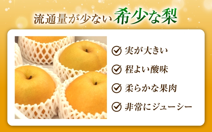 フルーツ 果物 くだもの 食品 人気 おすすめ 梨 なし ゆたか 和梨 甘い 旬 ふるさと納税 梨 ナシ なし 豊華梨