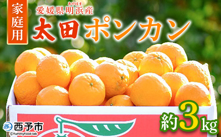 【先行予約】＜太田ポンカン 家庭用 約3kg＞ 果物 くだもの フルーツ みかん ミカン 柑橘 太田ぽんかん おおたぽんかん オオタポンカン ぽんかん 訳あり ご自宅用 特産品 株式会社笑丸 愛媛県 西予市【常温】『2027年1月中旬～1月下旬迄に順次出荷予定』AAN0053