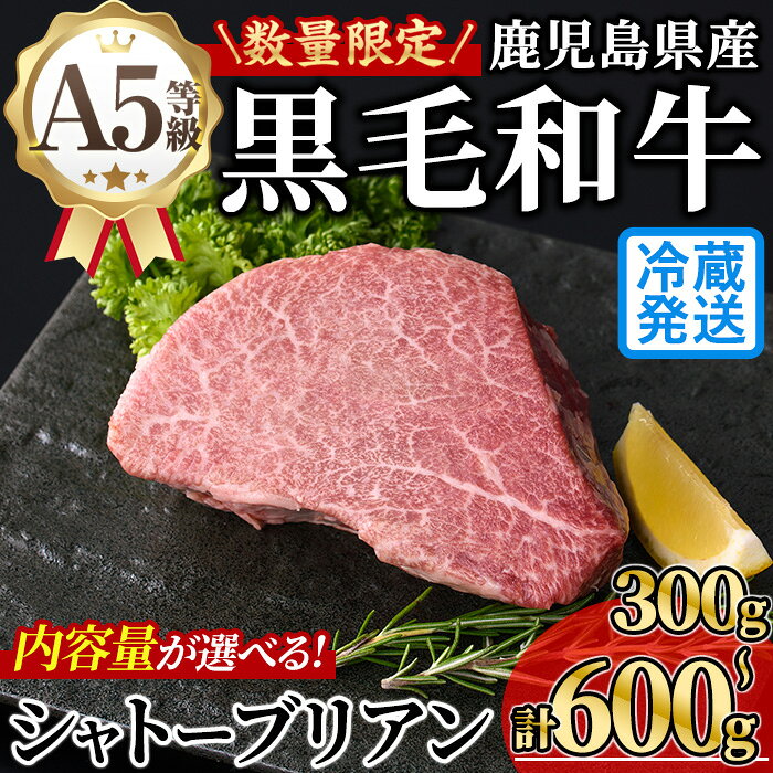 【ふるさと納税】＜内容量が選べる！＞新鮮チルド 数量限定希少部位・鹿児島県産A5黒毛和牛“極厚”シャトーブリアン (計300〜600g・300g×1~2枚) 牛肉 鹿児島県産 黒毛 和牛 極厚 冷蔵 チルド シャトーブリアン 希少部位 ヒレ【KNOT】