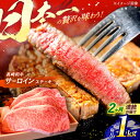 【ふるさと納税】【全2回定期便】 長崎和牛 特選 A5ランク サーロインステーキ 計1kg（250g×4枚） / ステーキ すてーき ステーキ肉 和牛 牛肉 ぎゅうにく 国産牛 牛 肉 サーロイン さーろいん A5 焼肉 / 諫早市 / 焼き肉おがわ [AHCD028]