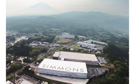 13DZ1【シモンズ】クイーンベッド　グロゼーユ　DC/リュクス　アルティメイト　エクリュ