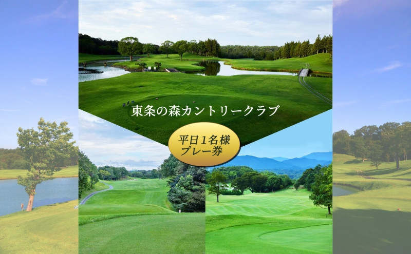 
東条の森カントリークラブ 平日1名様プレー券 東条の森CC
