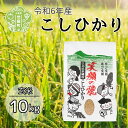 【ふるさと納税】令和6年産 笑顔の穂 こしひかり 玄米 10kg 米 お米 新米 ご飯 玄米ごはん おにぎり おこめ こめ コシヒカリ 世羅 世羅産 令和6年産 10キロ A056-02