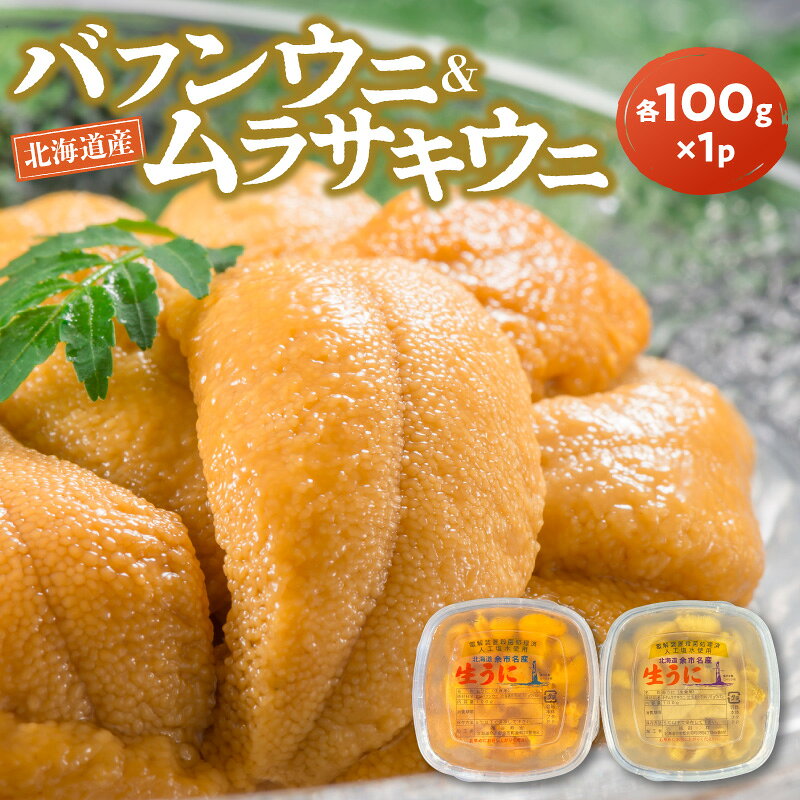 【ふるさと納税】【2027年夏発送】 塩水ウニ 【 バフンウニ ＆ ムラサキウニ 】 各 100g × 1パック 北海道余市町産 冷蔵 生うに うに 海産物 魚介類 北海道産 余市産 とろける 濃厚 磯の風味 甘味 強い 香り 余韻 後味 爽やか 送料無料