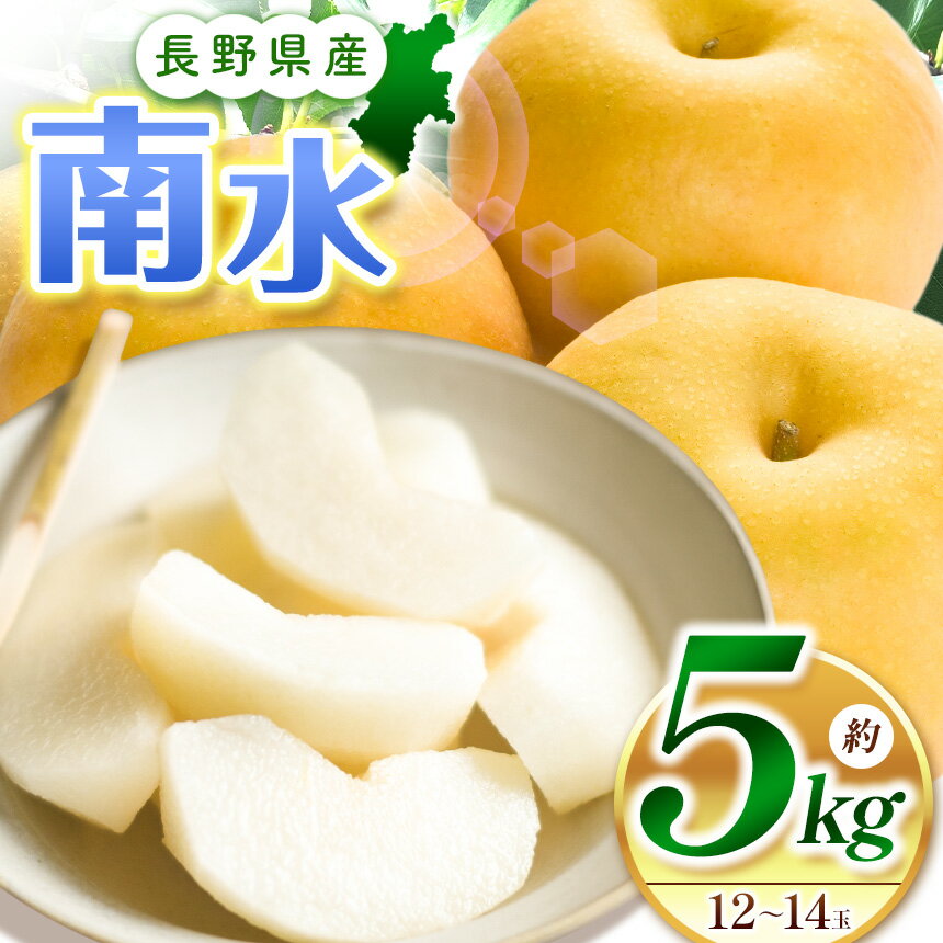 【ふるさと納税】【2026年発送】先行受付 南水5kg（10～14玉）｜ふるさと納税 松本市 なし 梨 南水 果物 果汁 農家 甘い シャリ感 自然 ビタミン 地元 新鮮 ジューシー