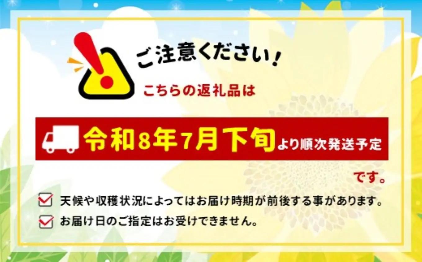 【栽培期間中農薬不使用・無化学肥料・無家畜性肥料で育てた】 朝採り とうもろこし 約4kg ( 10～15本 )【2026年7月下旬～発送】