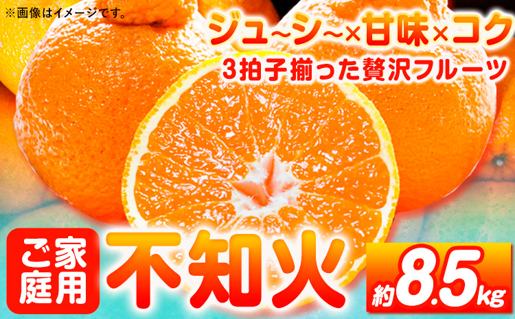 【ご家庭用】紀州有田産不知火(しらぬひ) 約8.5kg 魚鶴商店 《2月中旬-3月中旬頃出荷》 和歌山県 日高町 不知火 みかん 柑橘 果物 フルーツ 送料無料---wsh_uot120_2c3c_25_21000_85---
