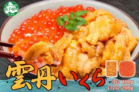 3366.  うに 100g いくら醤油漬け 200g ウニ チリ産 冷凍 いくら 二色丼 雲丹 イクラ 海鮮 海鮮丼 うに丼 いくら丼 いくら醤油漬け 送料無料 北海道 弟子屈町