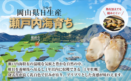 【定期便3回】 牡蠣 冷凍 むき身 1kg 備前市日生産 急速凍結牡蠣 一年牡蠣 国産 加熱調理用 牡蠣アヒージョ 牡蠣ご飯 カキフライ 海鮮鍋 全国牡蠣-1グランプリ豊洲2024 加熱部門初代グラン