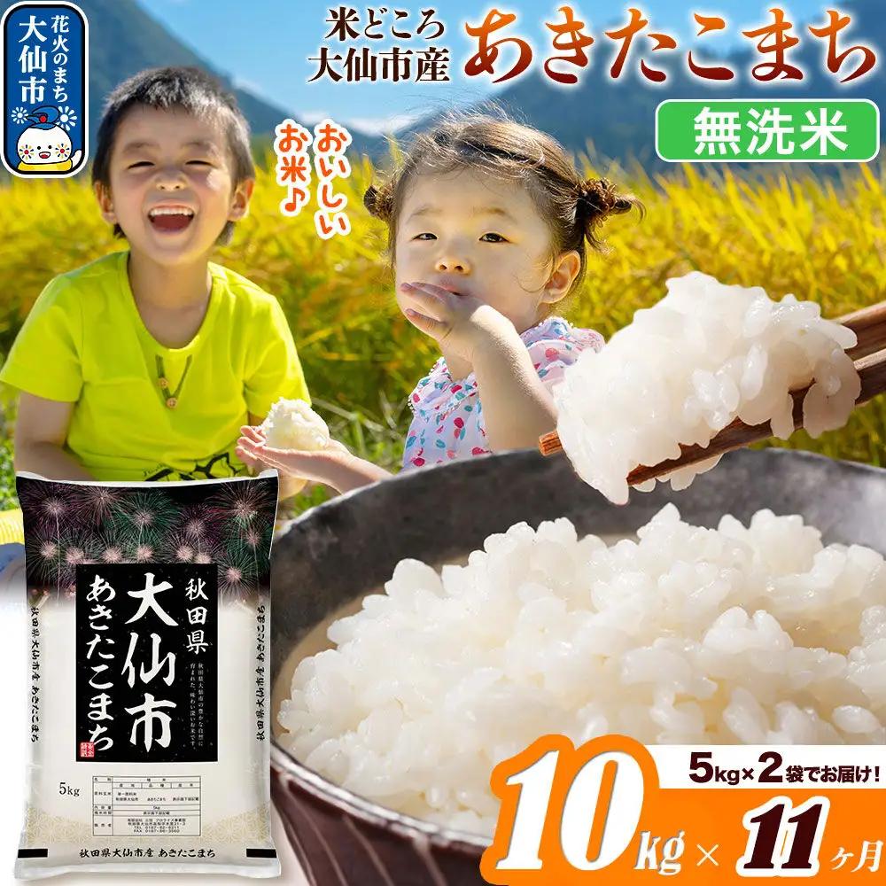 米《定期便11ヶ月》あきたこまち【無洗米】米どころ秋田県大仙市産 あきたこまち 10kg（5kg×2袋）