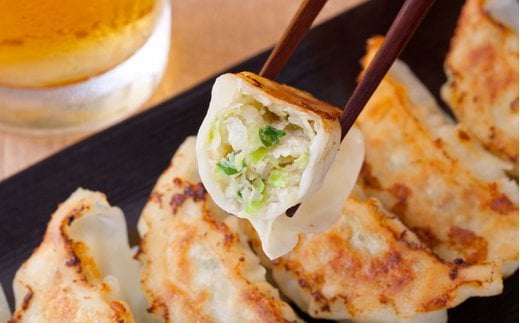 高島屋選定品  はちやの餃子セット　 4731558