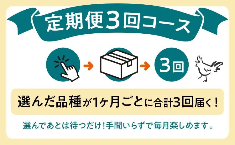 卵 定期便 3回 放牧養鶏卵 10個 破損補償2個含 3ヶ月間 若のレボリューション 卵