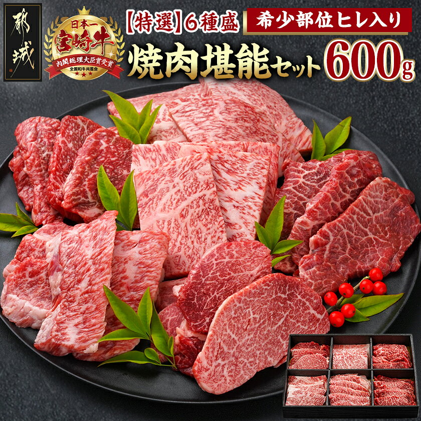【ふるさと納税】≪希少部位ヒレ入り！≫ 宮崎牛【特選】6種盛 焼肉堪能セット 600g - 宮崎県産宮崎牛 焼肉6種盛 各100g ロース 肩ロース ヒレ ウデ バラ モモ 国産牛 ギフト 贈答用 送料無料 65-010【宮崎県都城市】