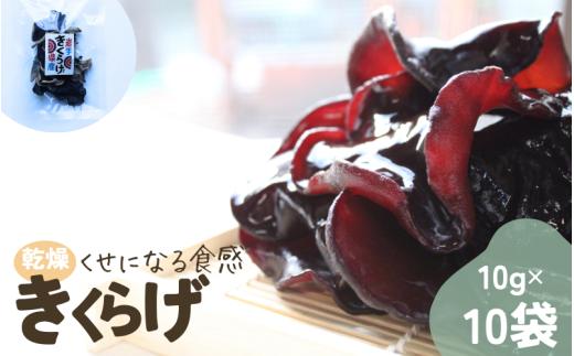 岩手県産 乾燥きくらげ 10g×10袋 コリっとプルプル食感がたまらない国産きくらげ / きくらげ 乾燥きくらげ キノコ 国産