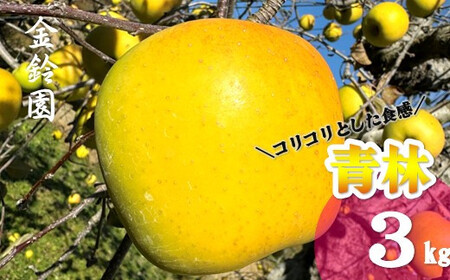 予約受付 ＼ 11月下旬発送予定 ／ 数量限定【北上市産 りんご 】 青林 ( セイリン ) 【厳選玉】 3キロ (約9～13玉) 林檎 リンゴ 3kg 国産 東北 岩手 産地直送 フルーツ 果物 金鈴園 岩手県 北上市 D0447