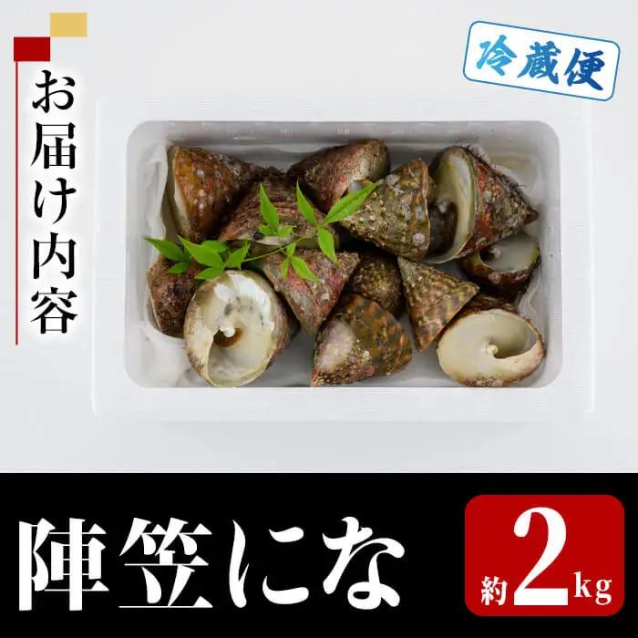 陣笠にな (約2kg) 魚介 貝 にな ニナ 海鮮 バーベキュー 【opba013】【海べ】
