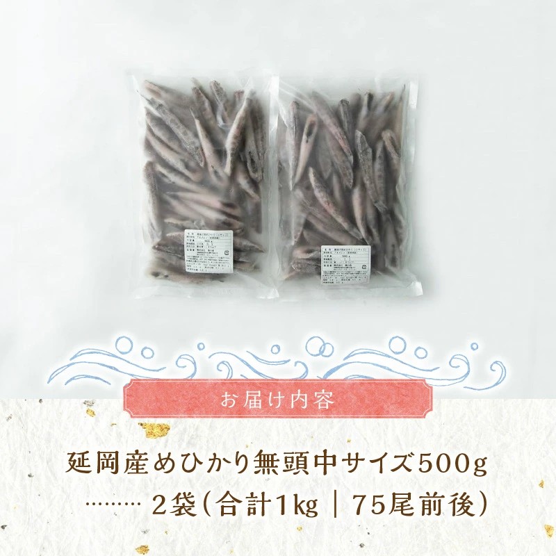 延岡産めひかり無頭中サイズ500g×2袋 N0184-YA2267