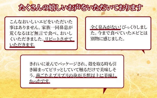 海老 エビ えび ブラックタイガー ぶらっくたいがー