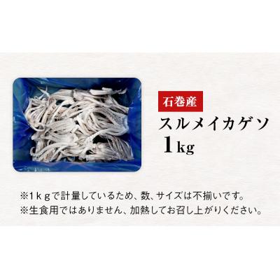 ふるさと納税 石巻市 石巻市産スルメイカゲソ1kg 冷凍 国産 スルメイカ いか イカ イカゲソ ゲソ天 バラ冷凍 宮城県 |  | 03