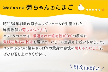 【全12回】毎月お届け!菊ちゃんのたまご(特級卵)定期便 042-08