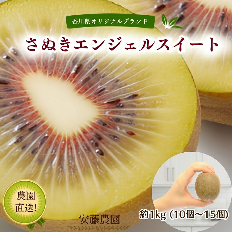 【ふるさと納税】さぬきエンジェルスイート キウイ 約1kg （10個～15個）農園直送 太陽と大地の恵み。海のそばで育った天使の甘さ 香川県オリジナル品種 キウイ　お届け：2026年10月中旬～11月中旬