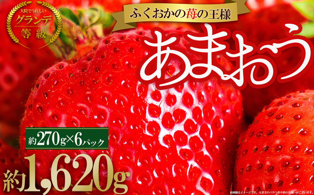 2VB6【先行予約／2027年出荷】【福岡県産あまおう】 訳あり グランデ　約270ｇ前後×6Ｐ