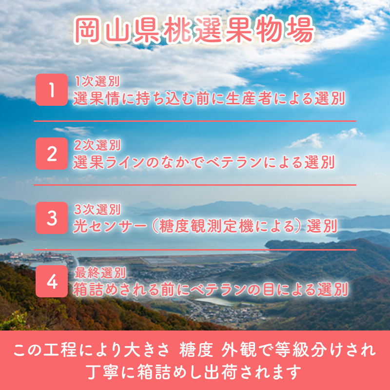 桃 2024年 先行予約 岡山 白桃 ロイヤル 4～6玉 約1kg JA おかやま のもも（早生種・中生種） もも モモ 岡山県産 国産 フルーツ 果物 ギフト