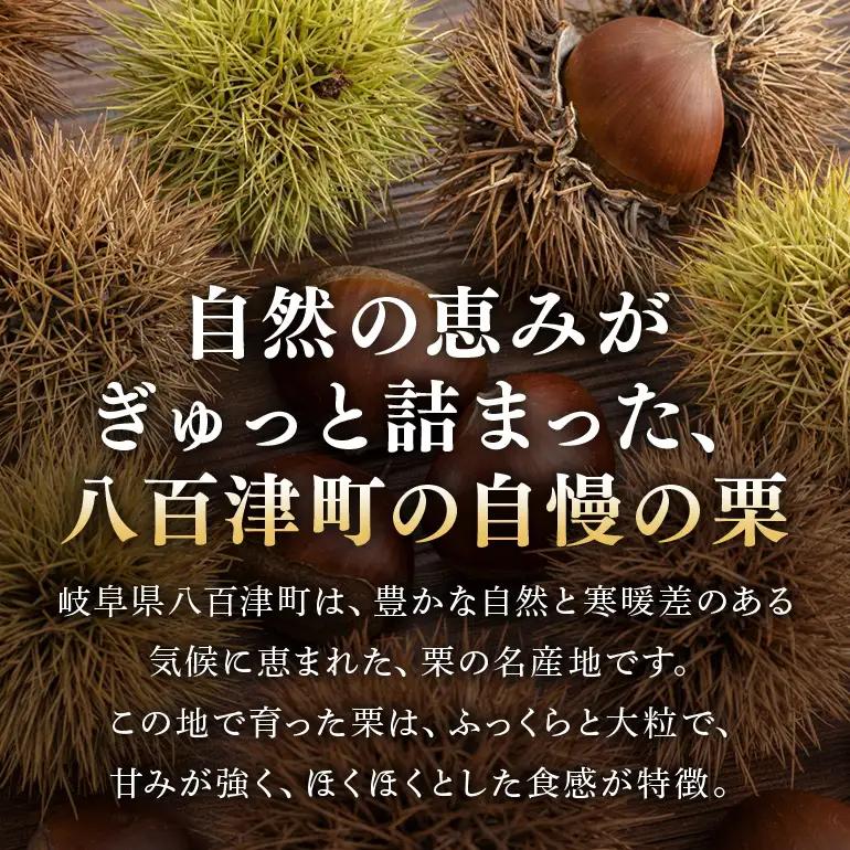 銘菓「栗金とん」15個入（亀喜総本家）